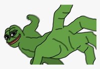 images (61).jpeg