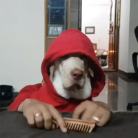 1585425720052.png