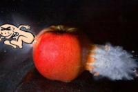 1585420576289.png