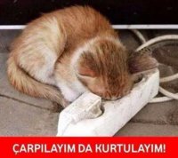 hayattan-sikilmak_928306.jpg