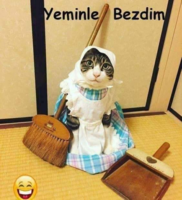 1586097109771.png