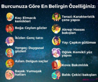 1604740099031.png
