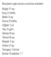 1604744031376.png
