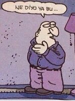 ne diyo ya bu.jpg