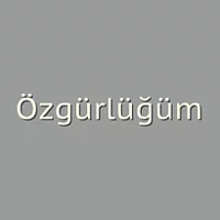 1605333992295.png
