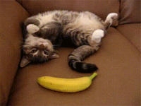 1605773740570.png