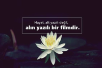 1606598745157.png