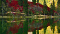1606604377028.png 1606604377028.png