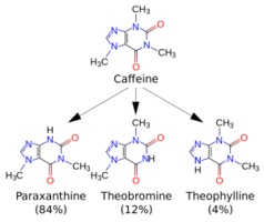 kafein-dunyanin-en-popular-psikoaktif-maddesi-1-300x253.png kafein-dunyanin-en-popular-psikoaktif-maddesi-1-300x253.png