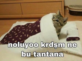 BBAA541F-0E9C-4119-93E1-FA7774A499D8.png BBAA541F-0E9C-4119-93E1-FA7774A499D8.png