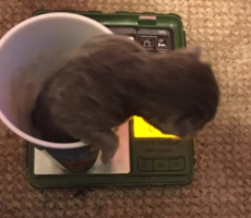 1608924948235.png 1608924948235.png