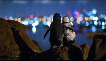 20201226_210855.jpg 20201226_210855.jpg