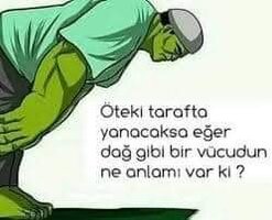 FB_IMG_1607041502138.jpg