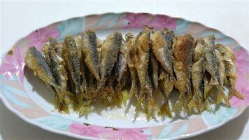 IMG_20210108_190833 (Small).jpg
