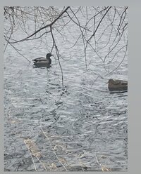 3D279230-4E7C-470A-BB6D-56F90082A456.jpeg