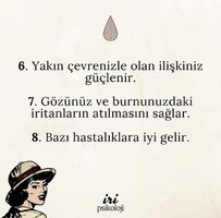 C8A1D20B-9817-4E0D-A988-0A7534807DD5.jpeg