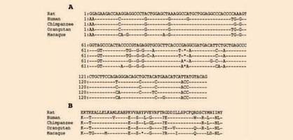 insan-vucudunda-evrimin-izlerine-yedi-ornek-4.jpg insan-vucudunda-evrimin-izlerine-yedi-ornek-4.jpg