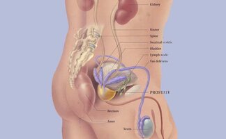 insan-vucudunda-evrimin-izlerine-yedi-ornek-7.jpg insan-vucudunda-evrimin-izlerine-yedi-ornek-7.jpg