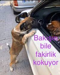 1DBBD1D9-5514-4F72-A18F-2F9783EE6E08.jpeg 1DBBD1D9-5514-4F72-A18F-2F9783EE6E08.jpeg