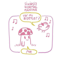 1612628665460.png