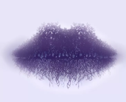 1613158271446.png