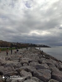 IMG_20201122_131747.jpg