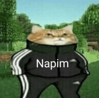 1613300168934.png