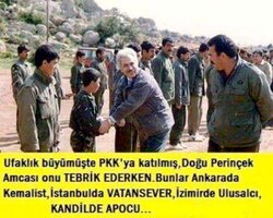 dogu-perincek_1353223_m[1].jpg
