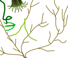 1614624224993.png