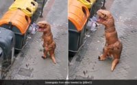 a9hei6fo_spain-lockdown-dinosaur-costume_625x300_19_March_20.jpg a9hei6fo_spain-lockdown-dinosaur-costume_625x300_19_March_20.jpg