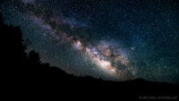 shainblum-BANNER11.jpg