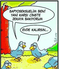 tavuk.jpg tavuk.jpg