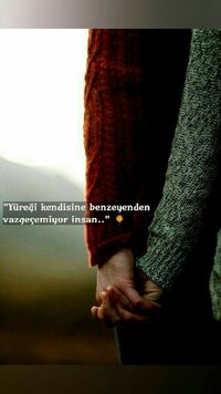 a049ddb2169766d5b666cbbe7a240de6.jpg
