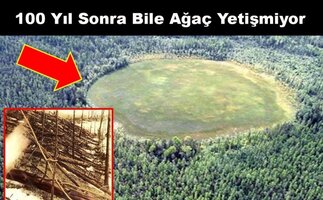 tunguska-olayi-nedir-tunguska-olayi-sirri-696x432.jpg tunguska-olayi-nedir-tunguska-olayi-sirri-696x432.jpg