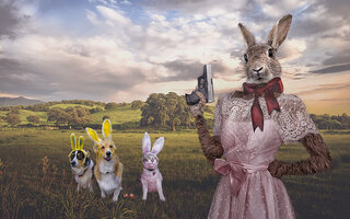 Osterhase2.jpg Osterhase2.jpg