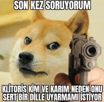 Ekaaantısı.JPG Ekaaantısı.JPG