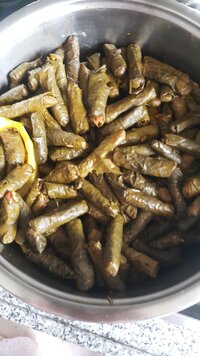 IMG_20210418_173651_599.jpg