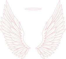 1619088076087.png
