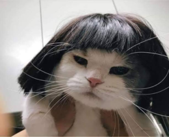 1619354896422.png 1619354896422.png