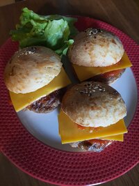 hmbrgr4.jpg