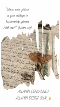 1619566345143.png