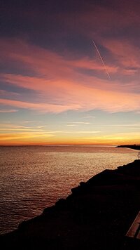 IMG_20210504_095523_676.jpg