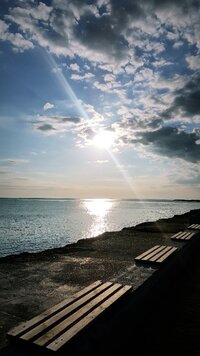 IMG_20210504_095407_993.jpg