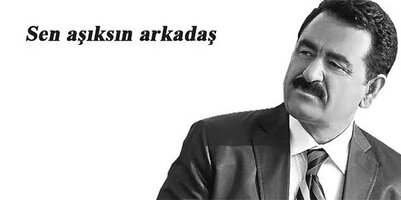 images.jpeg-10.jpg