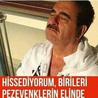images (24).jpeg