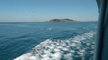 IMG_20210525_112230 (Medium).jpg