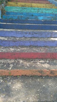 IMG_20210525_150919 (Medium).jpg