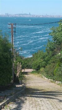 IMG_20210525_150333 (Medium).jpg