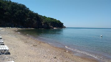 IMG_20210525_120551 (Medium).jpg