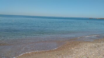IMG_20210525_120557 (Medium).jpg